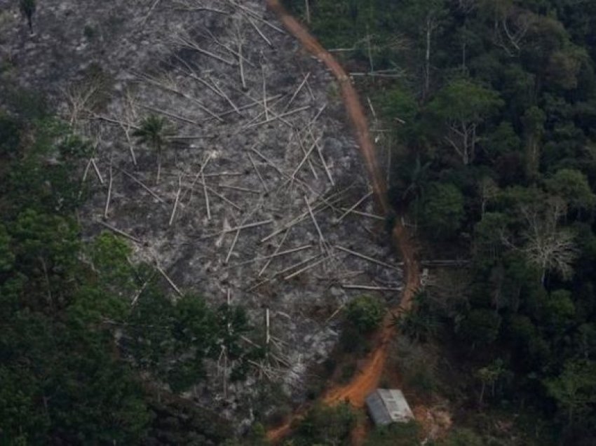 Amazona e Brazilit: Shpyllëzimi ‘rritet në nivelin më të lartë në 12 vitet e fundit’