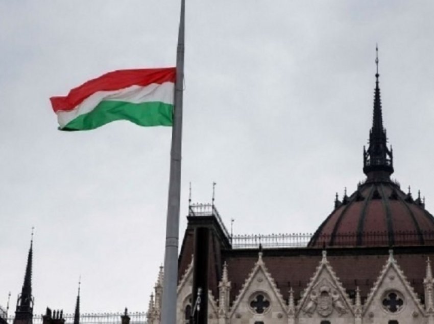 ​Hungari: Vetëm çiftet e martuara mund të birësojnë fëmijë