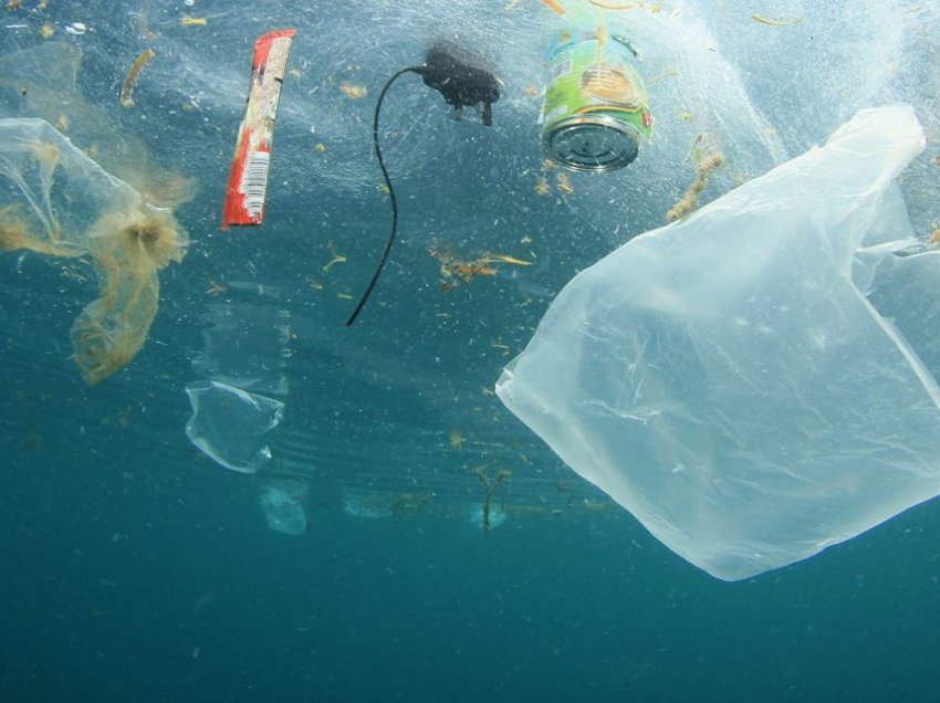 Bakteri që i kthen mbetjet plastike në ujë