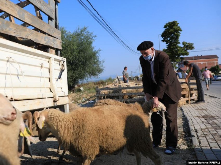 Gjykata më e lartë e BE-së mbështet kufizimet për therje të kafshëve