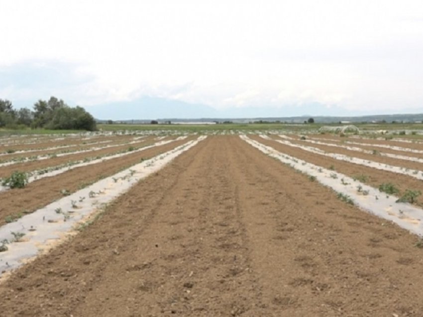 Fermerët e Kukësit e blejnë naftën në Kosovë