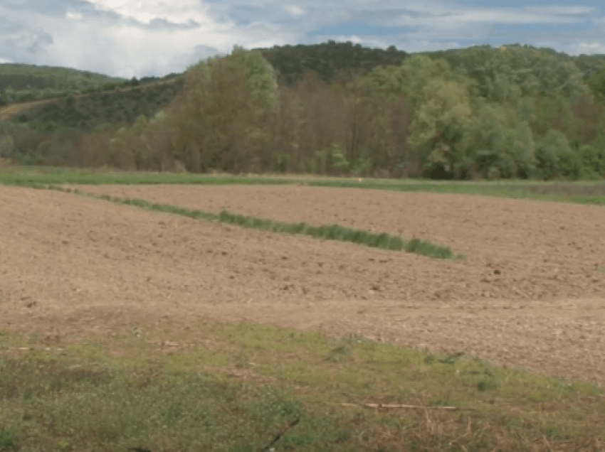 Përfaqësuesit e bujqve ankohen për ndarjen me vonesë të granteve