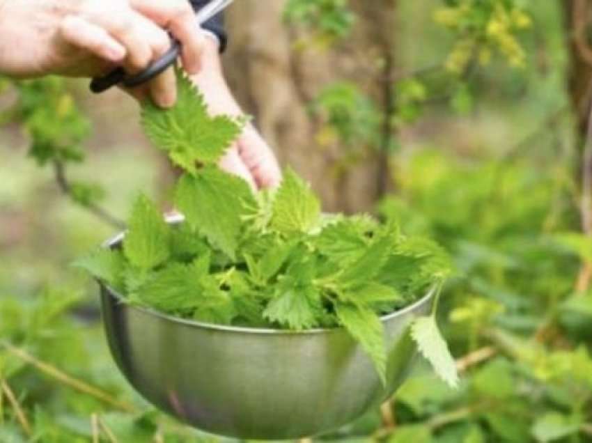 Zbutja e hithrave në shtëpi, disa sekrete për të përfituar shëndet