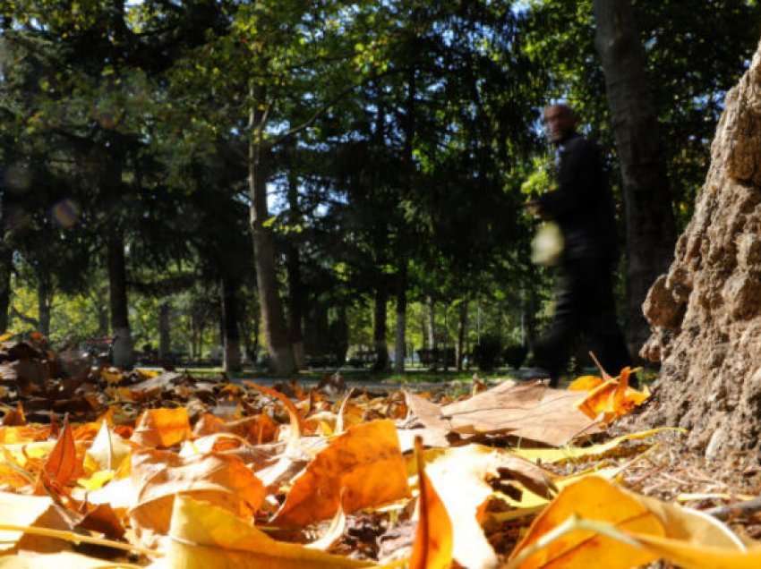 Moti me diell, temperatura deri 16 gradë