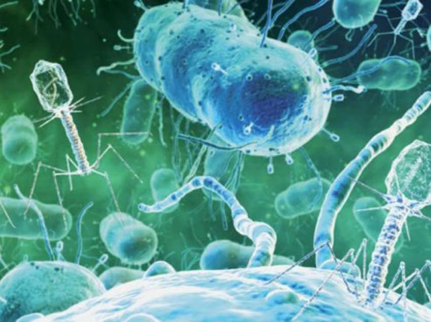 Antibiotikët po humbasin fuqinë, bakteret gjithnjë e më rezistente