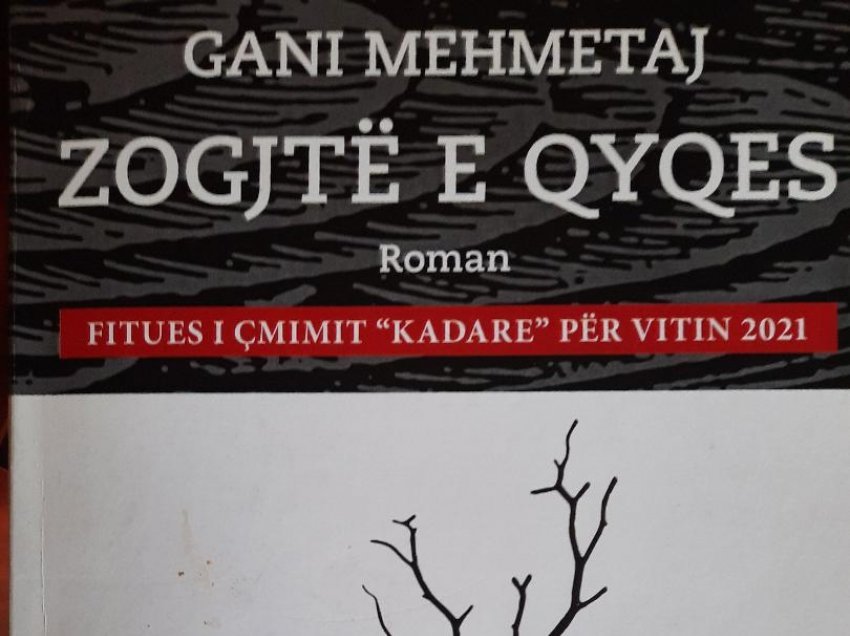 Doli nga shtypi romani 