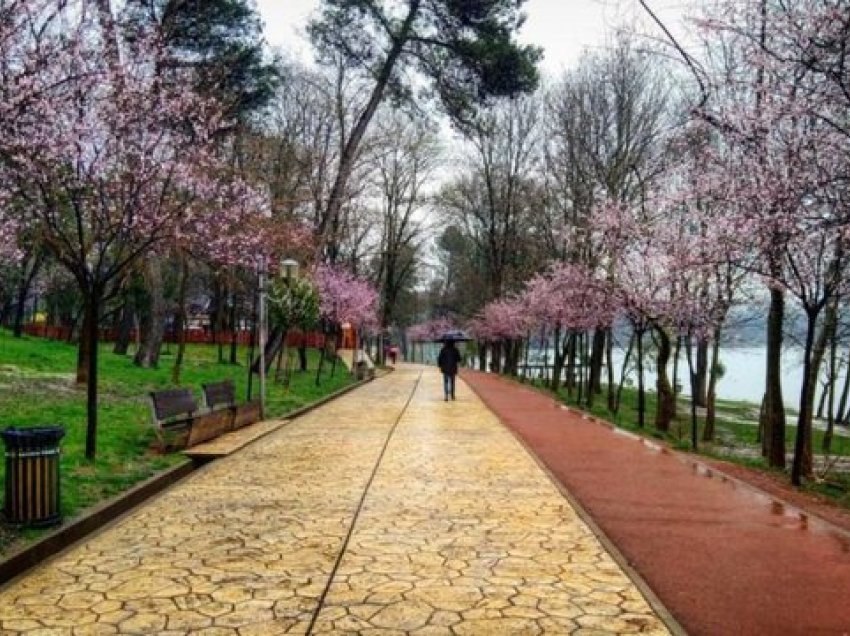 Pranvera është ende larg, shi dhe temperatura të ulëta edhe javën e ardhshme