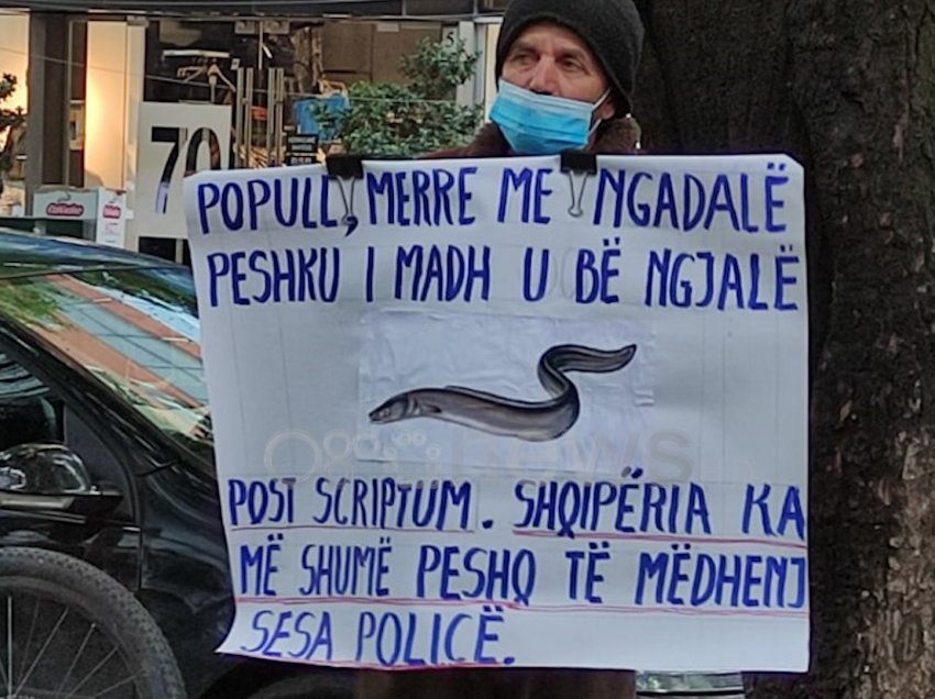 Posteri në Tiranë: “Popull mere me ngadalë peshku i madh u bë ngjalë”