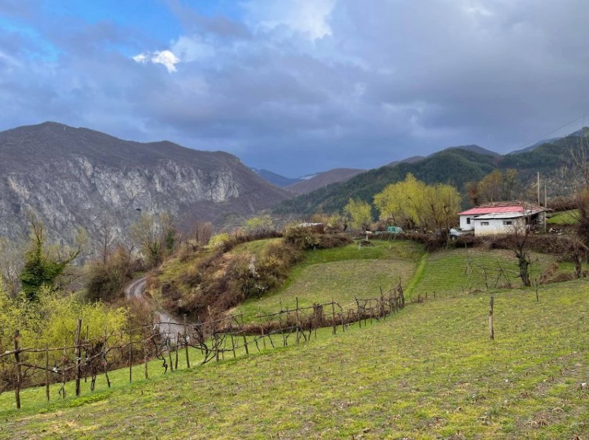 Më shumë pasuri të paluajtshme, bujqësi e ndërtim: Si e ndryshoi pandemia, strukturën e ekonomisë