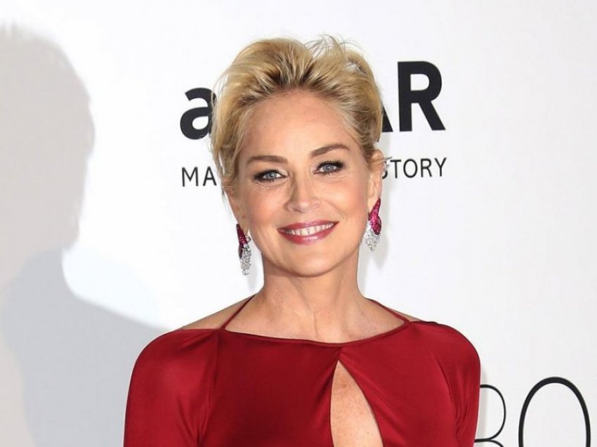 Arsyeja e pabesueshme pse Sharon Stone humbi kujdestarinë e të birit