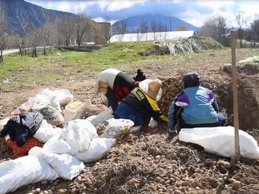 Prodhimet e fermerëve të Maliqit edhe këtë vit i mori lumi