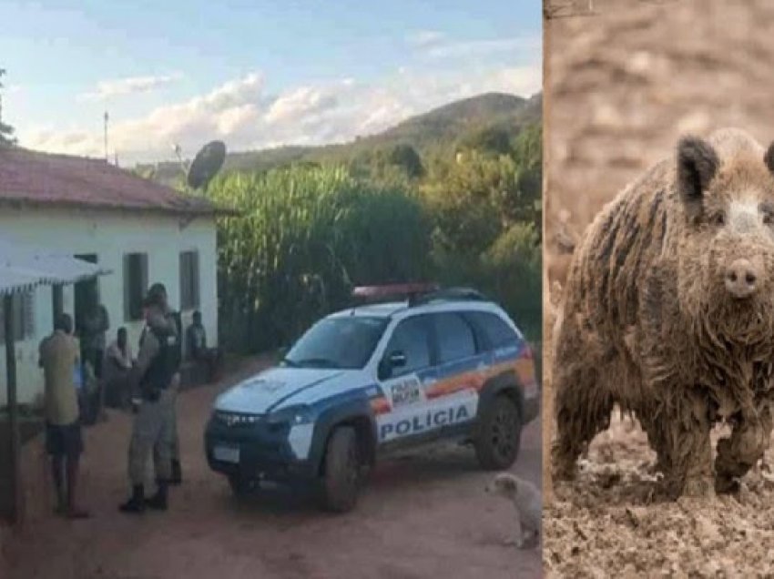 ​Burrit i presin organet mashkullore pasi tentoi të përdhunonte të mbesën në Brazil