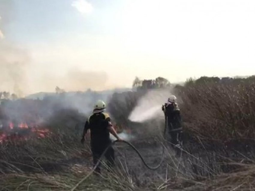 ‘Erë dhe pluhur nga Saharaja’, IGJEUM del me paralajmërimin e rëndësishëm