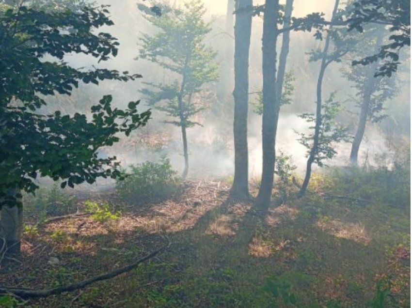 Zjarr edhe në fshatin Dhoskat, flakët po avancojnë në zona të mbjella