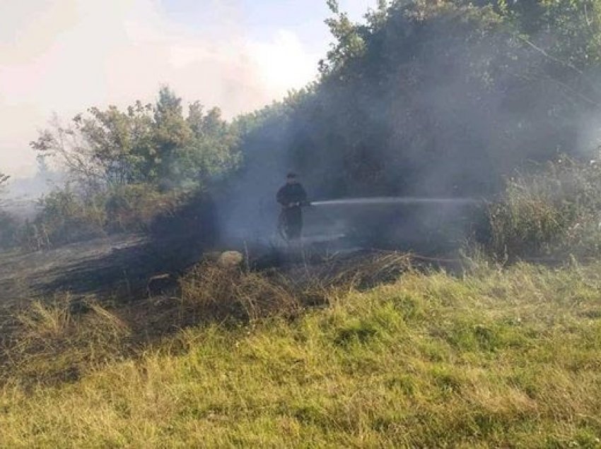 ​Policia e Kosovës: Fajtorët për zjarret do të përballen me drejtësinë