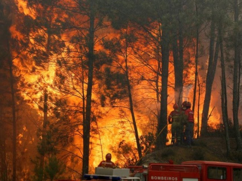 Digjen pyjet në Shtime, Suharekë dhe Prizren