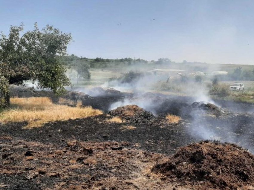 Dyshohet se ndezi zjarr qëllimisht në arën e tij, arrestohet 67 vjeçari 