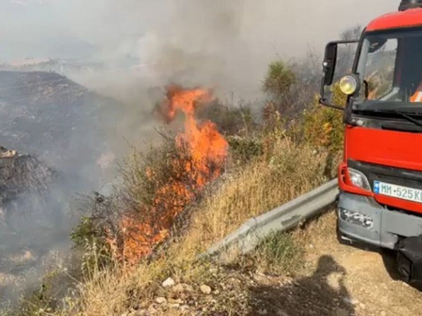 Zjarrvënie e qëllimshme në Vlorë e Sarandë, arrestohen tre autorët e dyshuar: Dogjën shkurre dhe bimësi të egër