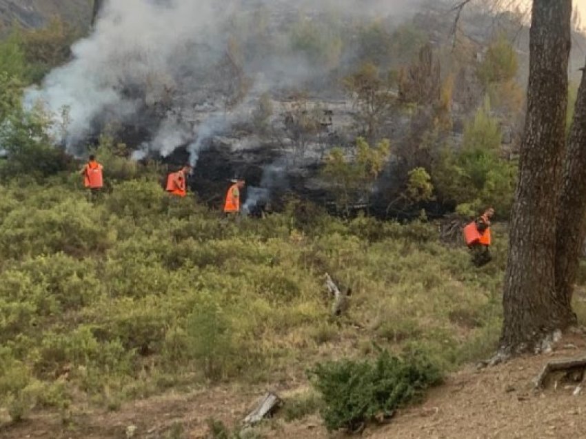 ​Shtohet rreziku nga zjarret në Vlorë, Peleshi: Flakët në Dukat kanë avancuar për shkak të erës