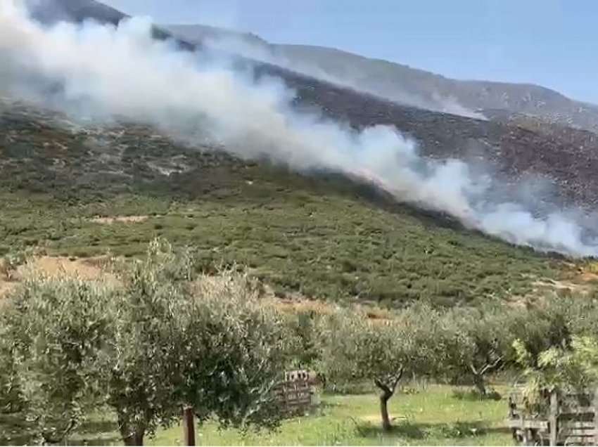 Cilat zona janë përfshirë nga flakët