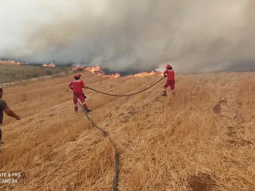 Peleshi: Parandalohet katastrofa në zonën e lumit të Vlorës, neutralizohet rreziku i jetës falë ndërhyrjes