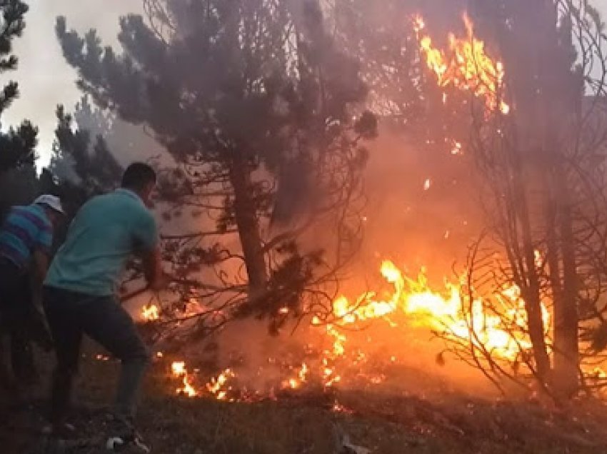 Ende 6 vatra zjarri aktive/ Shuhen disa zjarre në të gjithë vendin. Karaburuni vazhdon