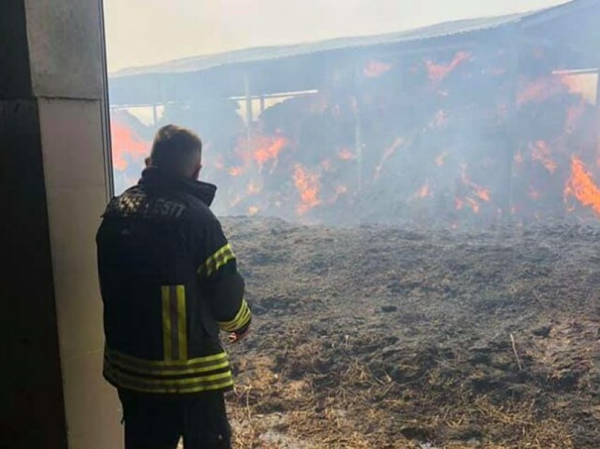 Vatër zjarri mbi tunelin e Kalimashit, era favorizon përhapjen e flakëve