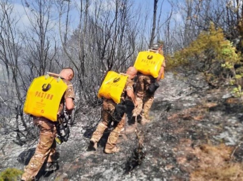 “Një pjesë e zjarreve janë shkaktuar nga individë”