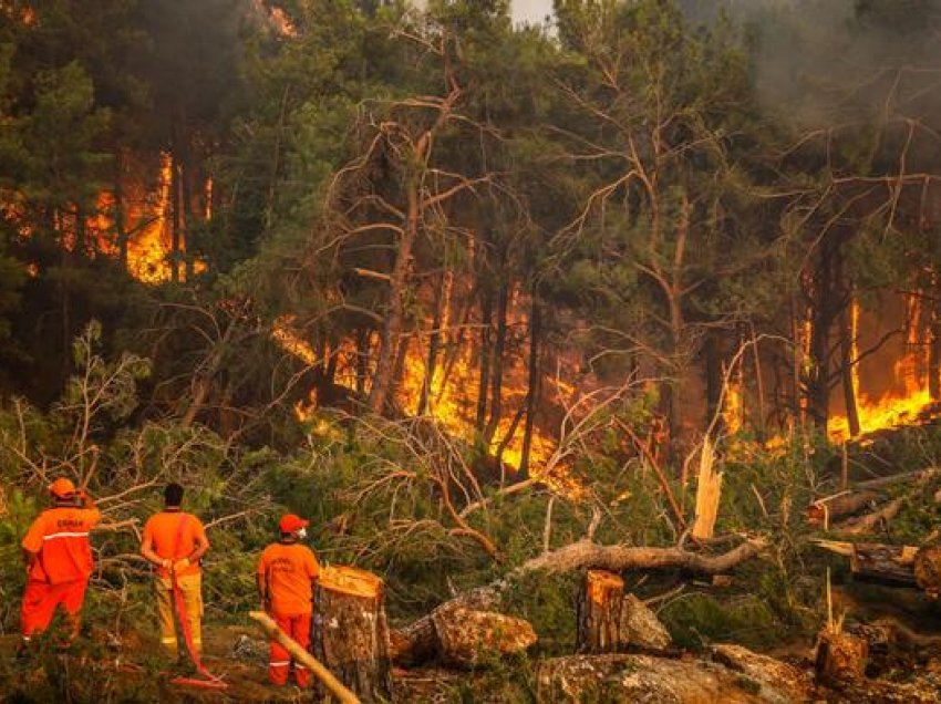 Evropa jugore në darën e zjarreve