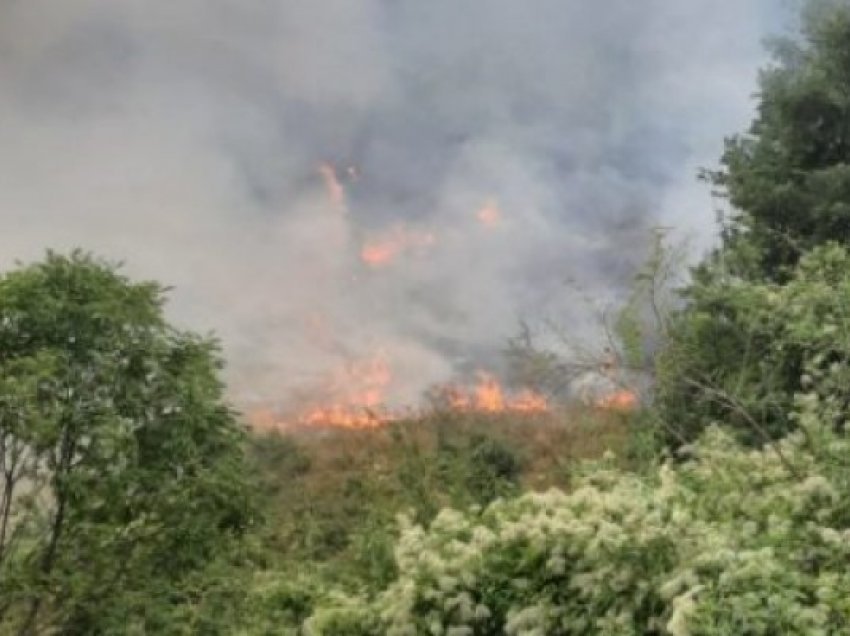 ​Del jashtë kontrollit zjarri në malin e Rrunës në Kukës