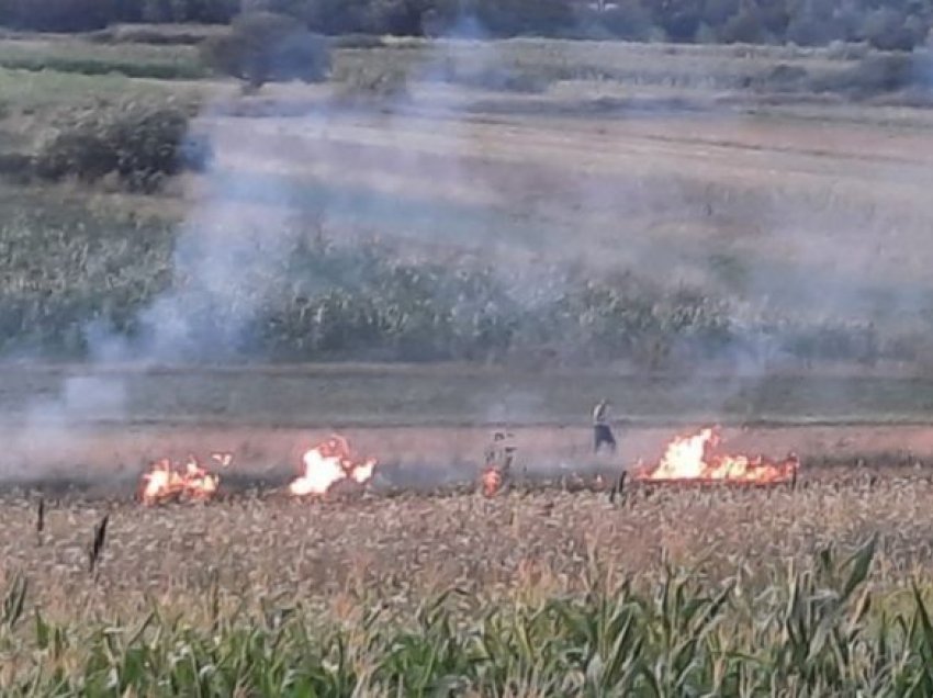 Numër i madh i vatrave të zjarrit vetëm në Shkup