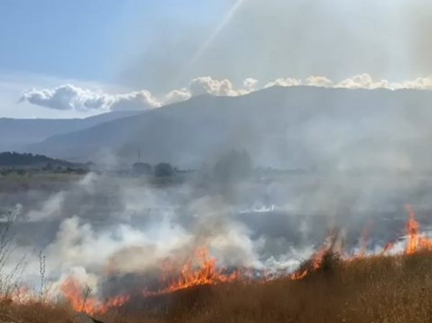 Fier: Sipërfaqe të tëra më pisha ende nën flakë, në Gjorgoz kërkohet ndërhyrja e helikopterëve