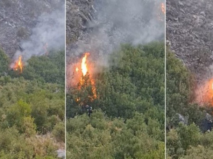 ​Ekspertë amerikanë mbërrijnë në Shqipëri për të luftuar flakët në jug