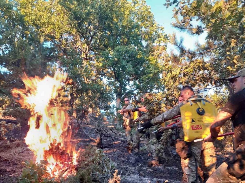 RMV, rreth 580 policë të angazhuar të ndihmojnë në shuarjen e zjarreve