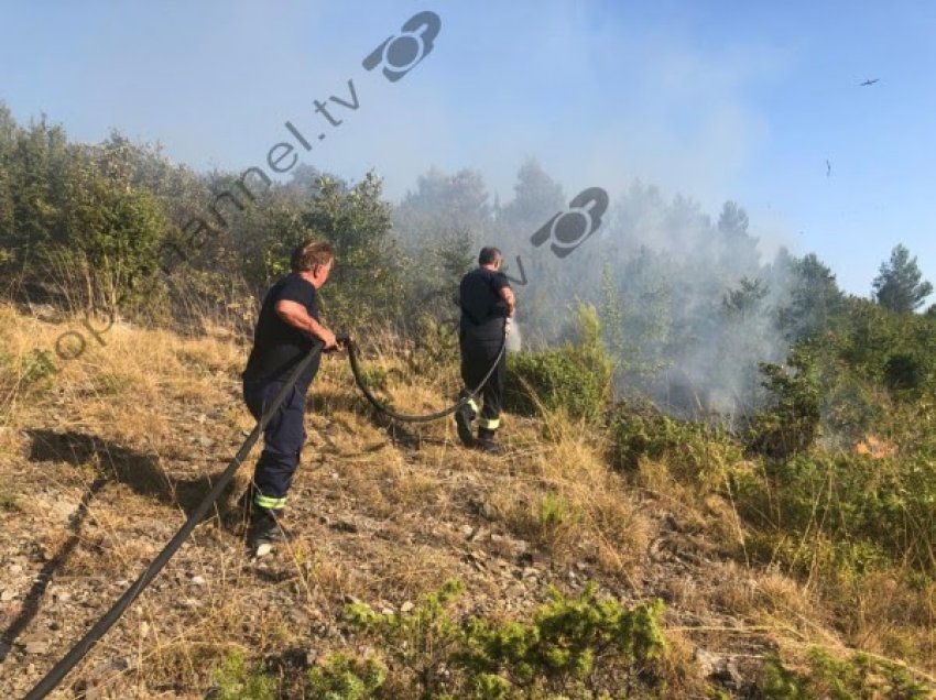 ​Tjetër vatër zjarri në Lezhë, Kodrat e Kodhelit në Zadrimë përfshihen nga flakët