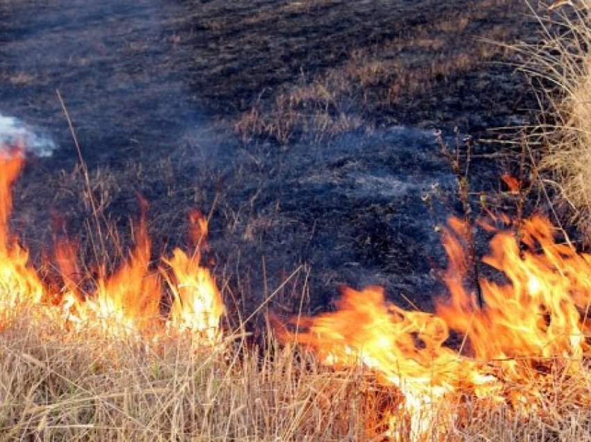 ​Djegi arën e vet, arrestohet