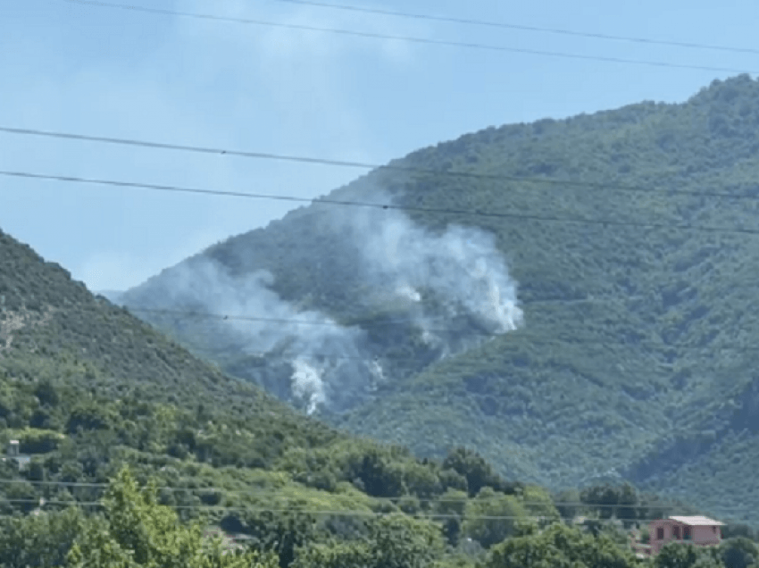 Vatrat e zjarrit po përhapen në fshatin Lalm, digjen shkurre e pemë