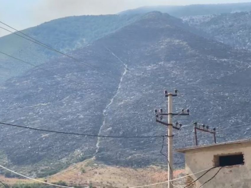 Ndërhyhet nga ajri e toka për të shmangur përhapjen e zjarrit në Parkun e Llogarasë