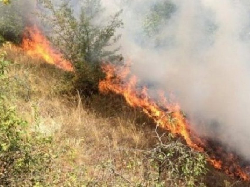 Përshihet nga zjarret masive Kepi i Rodonit, rrezikohen banesa