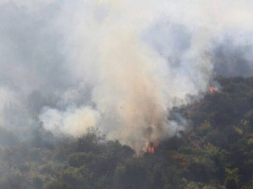 Ndizet një vatër zjarri në Zejmen të Lezhës, flakët pranë banesave