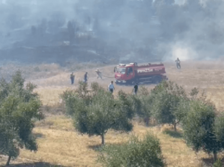 Zjarr në malin e Tërbunit, forcat ushtarake po mundohen ta vënë nën kontroll