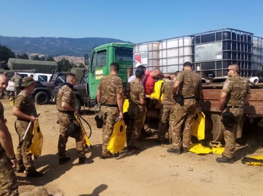 Mbi 600 pjesëtarë të MPB-së u angazhuan në luftën kundër zjarreve pyjore