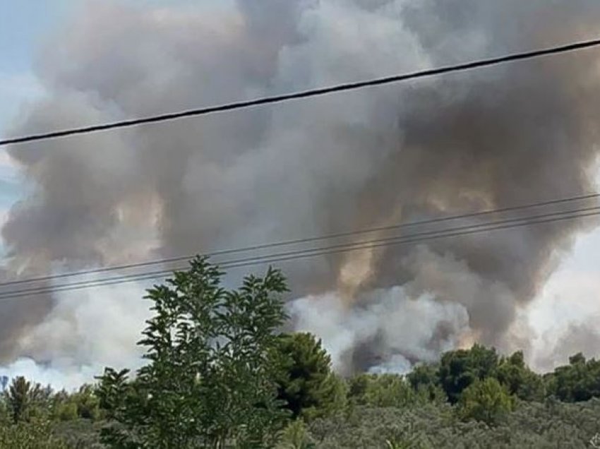 Zjarret në Greqi, një 14-vjeçar përgjegjës për 9 nga 13 vatrat