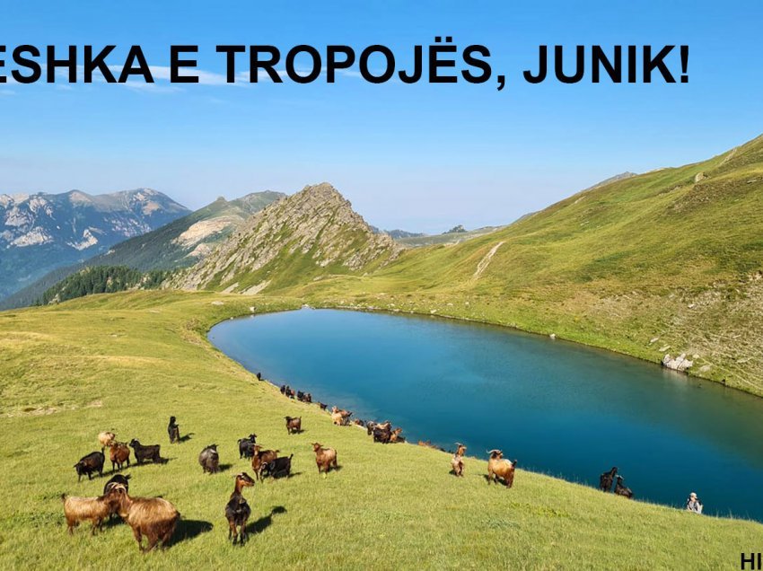 Bjeshkën e Tropojës me liqenin e saj në Junik