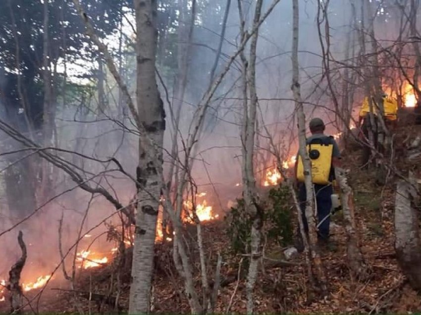 Ndizet një vatër zjarri në Ballsh, flakët pranë banesave