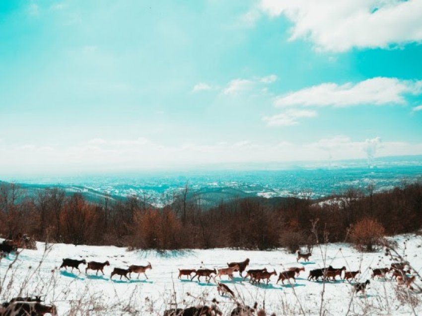 ​Dimri do të jetë me reshje mbi mesatarën, ja kur nisin temperaturat e ulëta