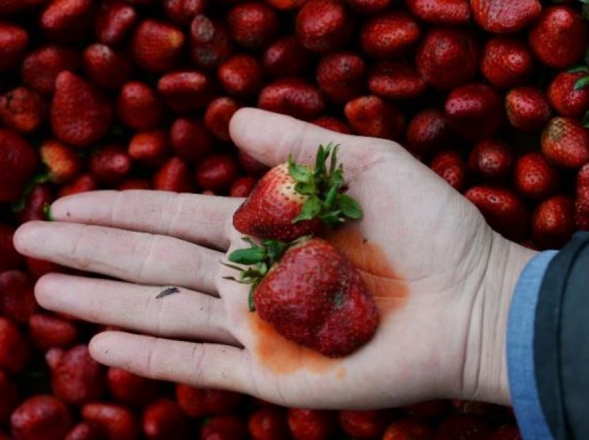 A e rrisin rrezikun ndaj kancerit pesticidet tek frutat dhe perimet?