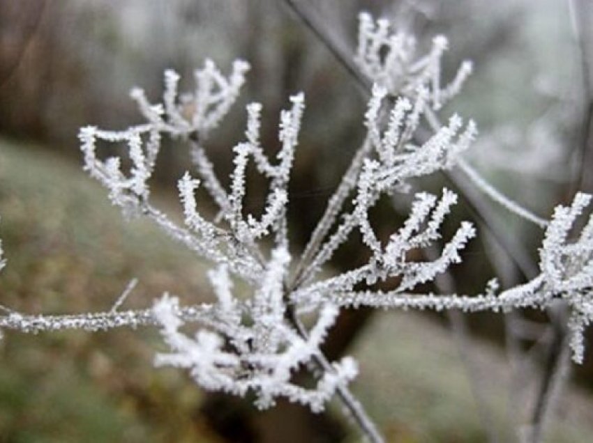 Rikthehet i ftohti polar, zonat ku do të godasë