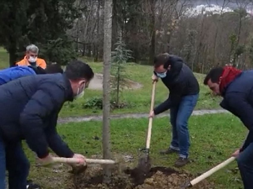 Një pemë për mjekët/ Është mbjellë në ditën kur Bledi Nini do mbushte 49 vjeç