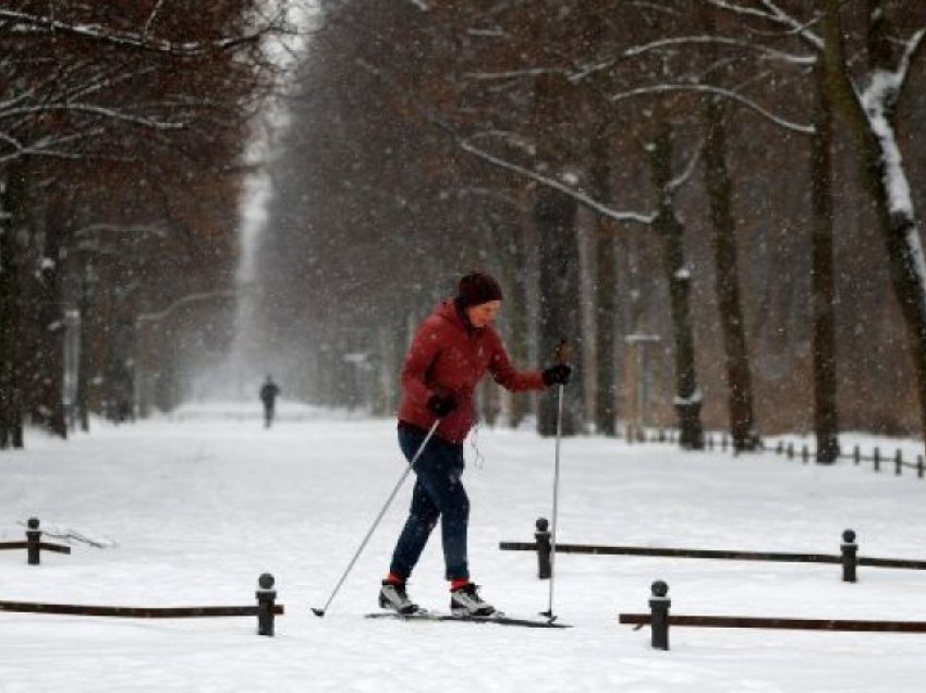 I ftohi polar përfshin Europën